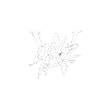 WILZ - Home