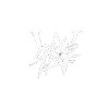 WILZ